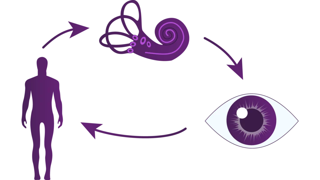Schematische Darstellung des Gleichgewichtssystems: Innenohr und Auge sind verbunden und zeigen das Zusammenspiel von Gleichgewicht und visueller Wahrnehmung.
